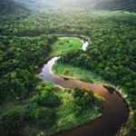 Amazon Wetlands Emit far More Methane than Climate Models Estimate: Study