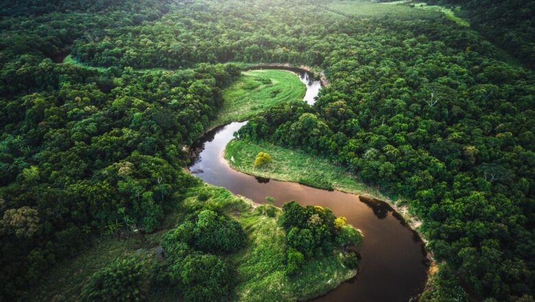 Amazon Wetlands Emit far More Methane than Climate Models Estimate: Study