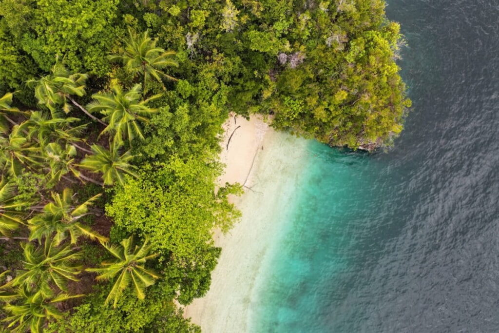 Warming Can Pushing Southeast Asia’s Forests to Thermal Limits by 2050: Study
