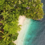 Warming Can Pushing Southeast Asia’s Forests to Thermal Limits by 2050: Study