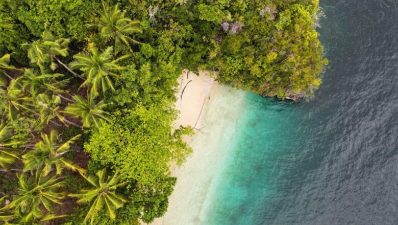 Warming Can Pushing Southeast Asia’s Forests to Thermal Limits by 2050: Study