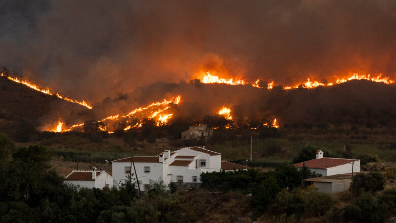 Spain Wildfires Highlight Need to Measure Human Impact Not Just Burnt Area