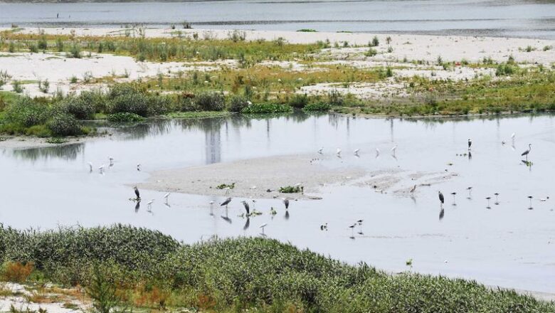 Yamuna Shrinks by 68% in Two Centuries Study Warns of Weakened Flood Resilience