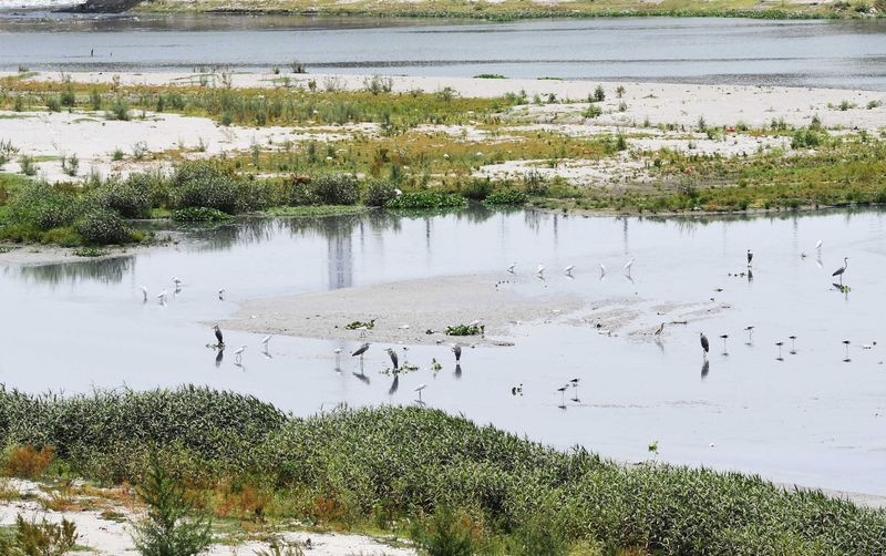 Yamuna Shrinks by 68% in Two Centuries Study Warns of Weakened Flood Resilience