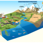 Climate Change Reshaping Water, Food Systems, Heritage and Conservation Across the Globe
