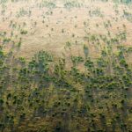 Great Green Wall Shifts Focus from Tree Planting to Landscape Restoration Across Africa