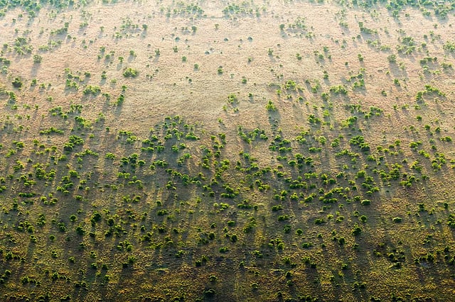 Great Green Wall Shifts Focus from Tree Planting to Landscape Restoration Across Africa