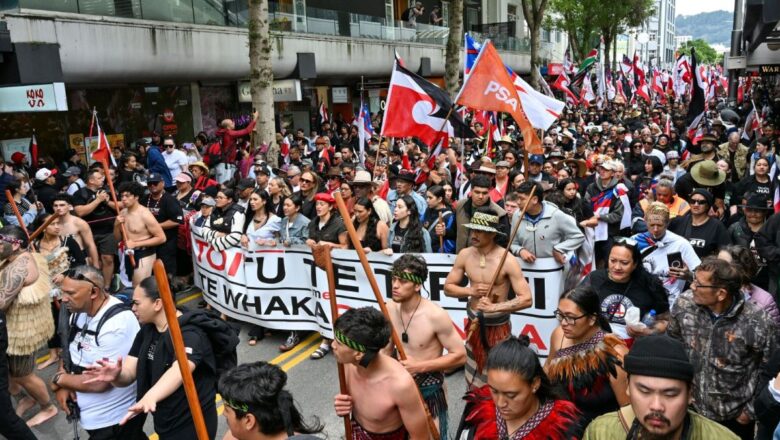 New Zealand Conservation Law Reforms Spark Debate Over Development and Indigenous Rights