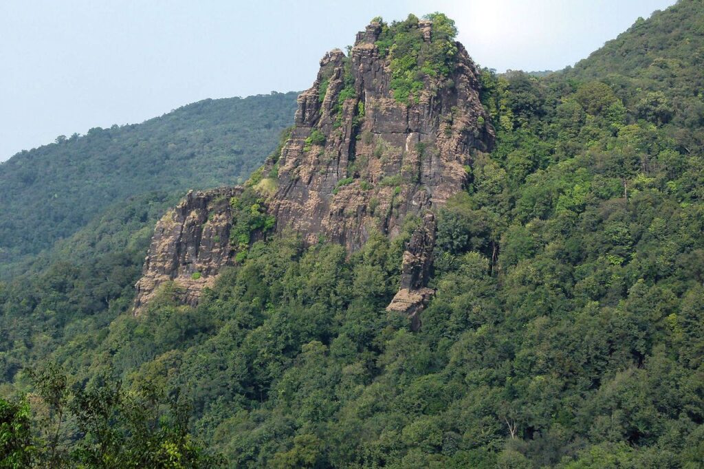 Uttara Kannada Evergreen Forests Face Growing Pressure From Clean Energy Projects Raises Ecological Concerns