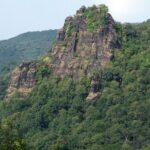 Uttara Kannada Evergreen Forests Face Growing Pressure From Clean Energy Projects Raises Ecological Concerns