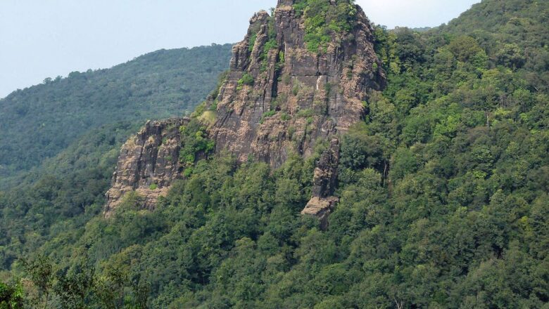Uttara Kannada Evergreen Forests Face Growing Pressure From Clean Energy Projects Raises Ecological Concerns