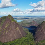 Vietnam Coffee Expansion Linked to Major Forest Loss in Central Highlands, Report Warns