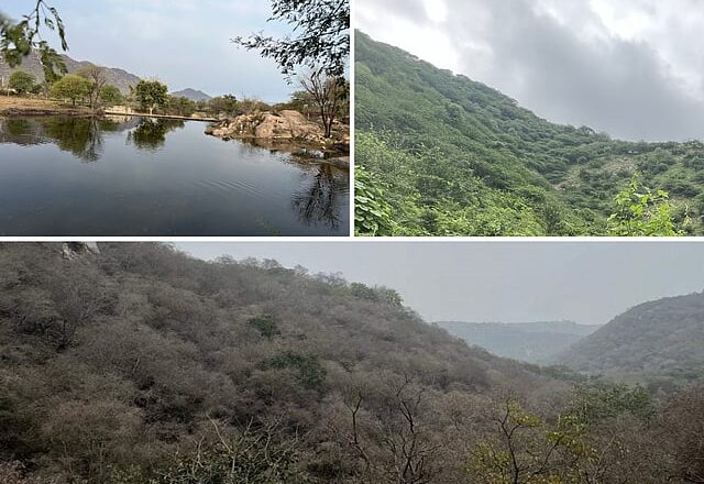 Aravali Protection Debate Intensifies as Supreme Court Panel Reviews Definition of Mountain Range