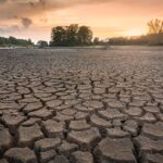 Europe’s 2026 Heat and Drought Made far More Likely by Climate Change Study Finds