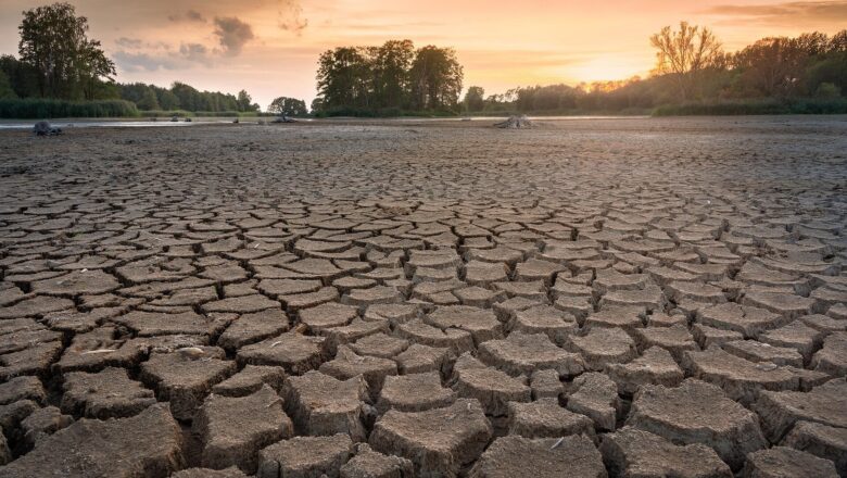 Europe’s 2026 Heat and Drought Made far More Likely by Climate Change Study Finds