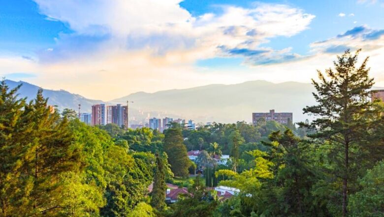 Medellín’s Green Corridors Show How Urban Forests Can Cool Cities by Up to 5°C