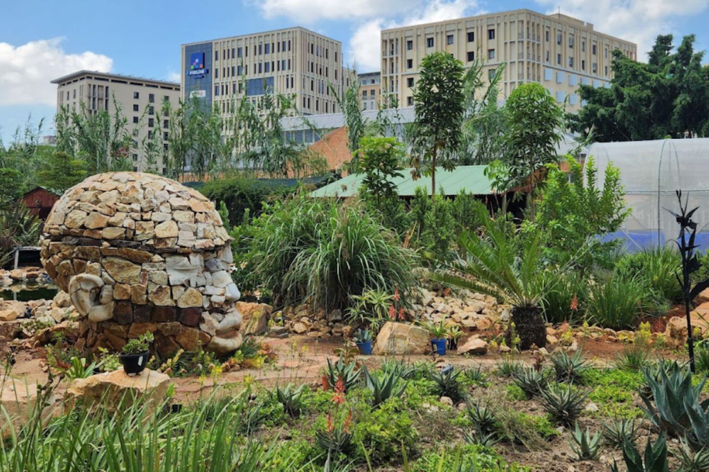 South African Study Highlights Role of Parks and Community Gardens in Climate Adaptation