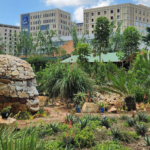 South African Study Highlights Role of Parks and Community Gardens in Climate Adaptation