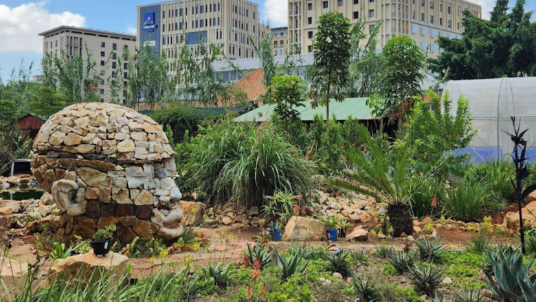 South African Study Highlights Role of Parks and Community Gardens in Climate Adaptation