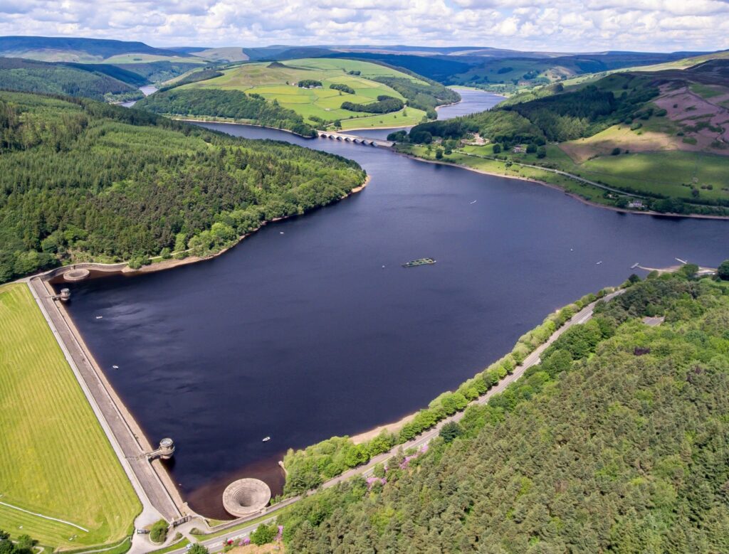 Tiny keystone Microbes found to keep Deep Water Reservoirs Stable Despite Changing Conditions