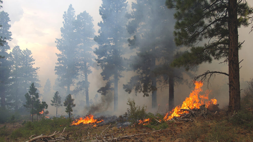 Machine Learning Model Improves Wildfire Smoke Forecasting and Air Quality Warnings