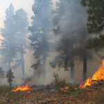 Machine Learning Model Improves Wildfire Smoke Forecasting and Air Quality Warnings