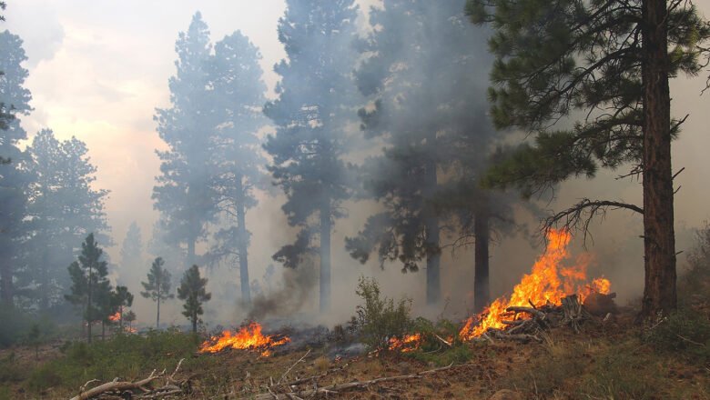 Machine Learning Model Improves Wildfire Smoke Forecasting and Air Quality Warnings