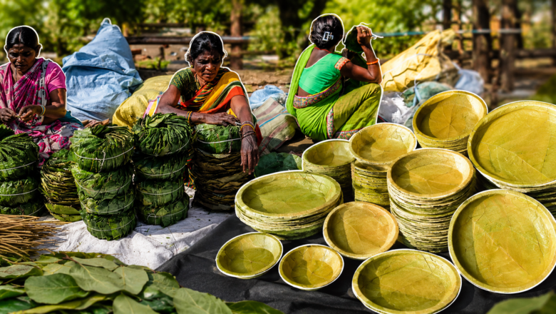 Europe Embraces India’s Traditional Sal leaf Plates as Sustainable Alternative to Plastic