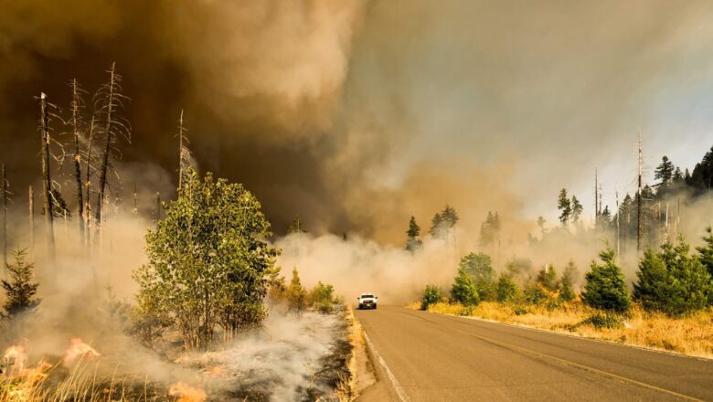 Amazon Fires Hit 40 Year Low in 2025 But ‘Super El Nino’ Could Raise Future Wildfire Risk