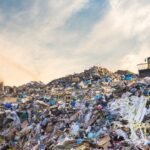 Climate Resilience and Sustainable Waste Management Gain Global Momentum