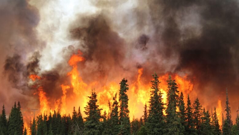 Climate Change Increases Likelihood of Compounding Drivers of Severe Wildfire Conditions in France and Spain