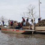 New Orleans Turns Discarded Christmas Trees into Wetlands to Fight Coastal Erosion