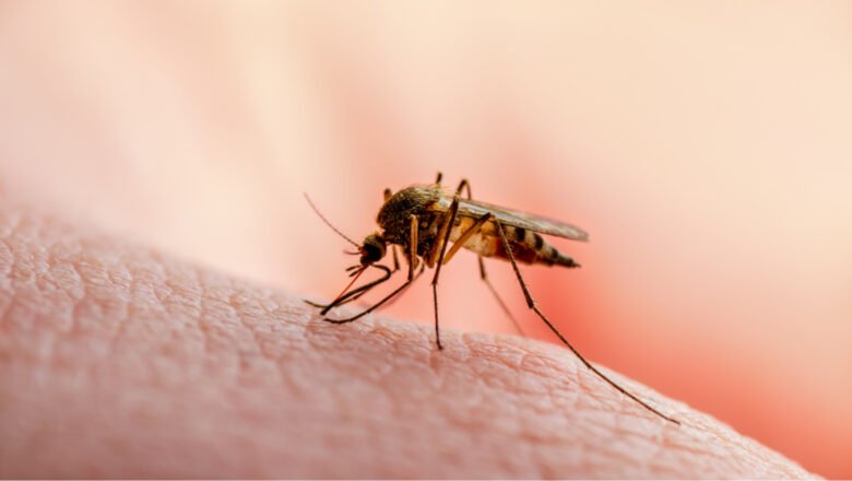 Distant Ocean Temperatures Could Help Predict Malaria Outbreaks in Malawi: Study