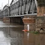 Delhi Stretch of Yamuna Shows Highest Microplastic Contamination in Freshwater Fish