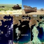 Aral Sea Emits 825 Million Tonnes of Carbon Dioxide After Decades of Drying