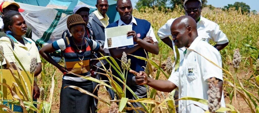 Indigenous knowledge Helping Communities Adapt to Climate Change Says Report