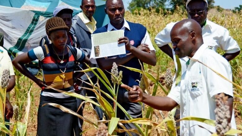 Indigenous knowledge Helping Communities Adapt to Climate Change Says Report
