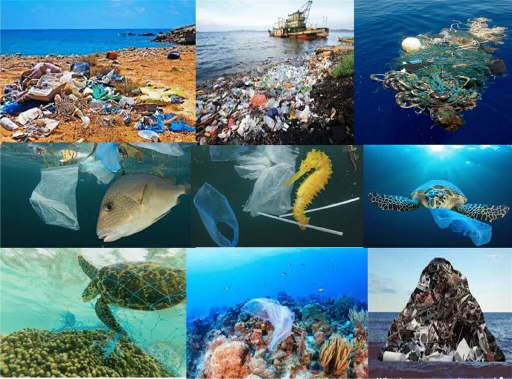 Deep Sea Snails and Mussels Found Contaminated with Microplastics in Indian and Pacific Oceans