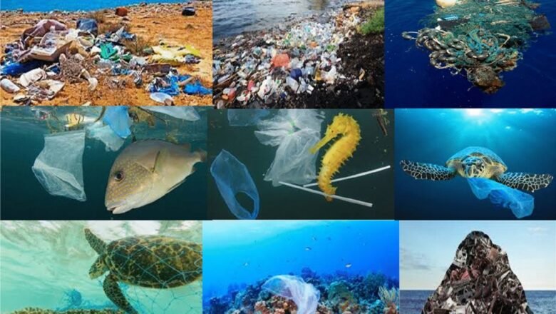 Deep Sea Snails and Mussels Found Contaminated with Microplastics in Indian and Pacific Oceans
