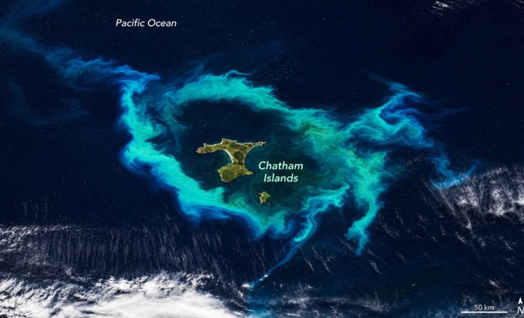 NASA Satellite Captures Striking Turquoise Phytoplankton Halo Around New Zealand’s Chatham Islands