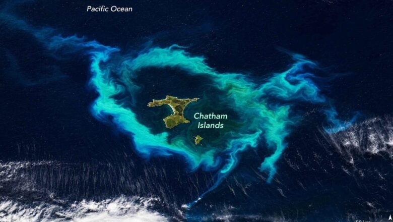 NASA Satellite Captures Striking Turquoise Phytoplankton Halo Around New Zealand’s Chatham Islands