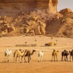 Saudi Arabia Imports Construction Sand Despite Vast Deserts Here’s Why Desert Sand Cannot Easily be Used in Concrete