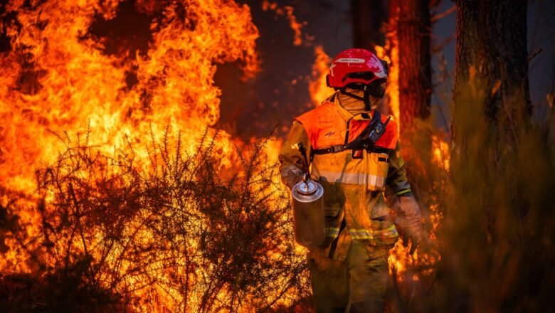Europe’s Wildfires Raise Risk of Detonating unexploded WWII bombs