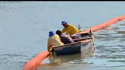 Human Hair Turned into Ocean Pollution Barriers in Brazil to Absorb Oil and Plastics