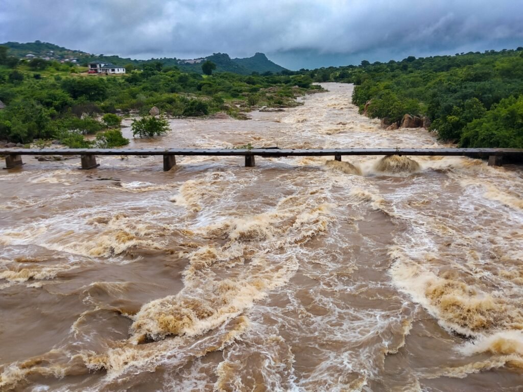 Monsoon Rains and Arabian Sea Fish Respond to Different Hemispheres Study Finds