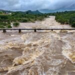 Monsoon Rains and Arabian Sea Fish Respond to Different Hemispheres Study Finds