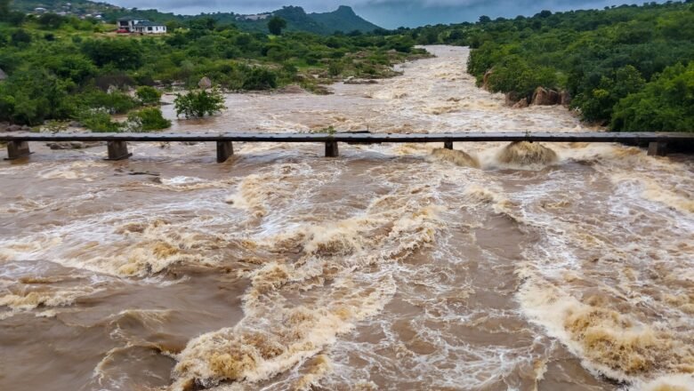 Monsoon Rains and Arabian Sea Fish Respond to Different Hemispheres Study Finds