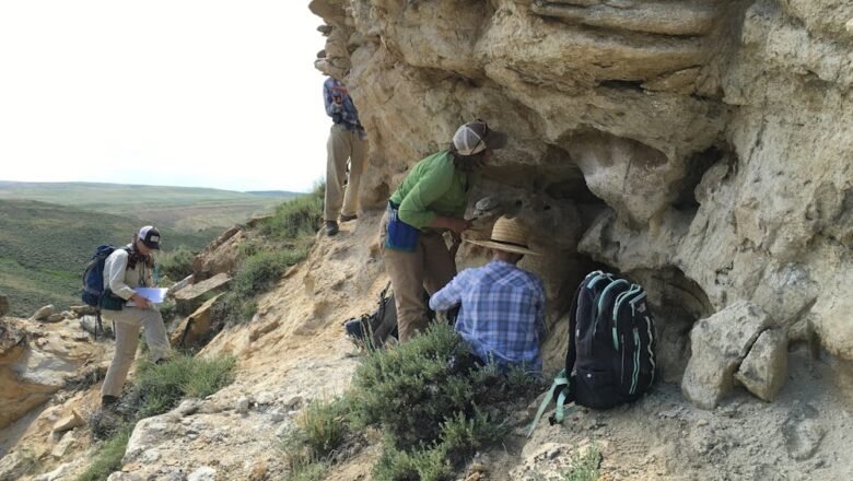 Ancient Forests Took Over 100,000 Years to Recover from Global Warming Study Finds