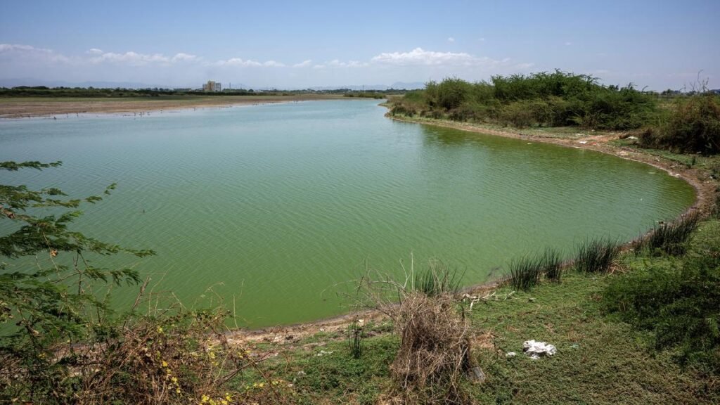 Activists Seeks Heritage Status for Archaeological and Biodiversity Rich Sites in Madurai, Theni