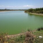 Activists Seeks Heritage Status for Archaeological and Biodiversity Rich Sites in Madurai, Theni